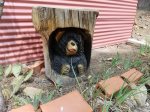 Papa Bears Cabin - Cozy Cabins Ruidoso, NM